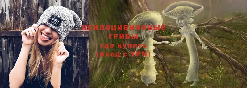 Галлюциногенные грибы MAGIC MUSHROOMS  купить   Бирюч 